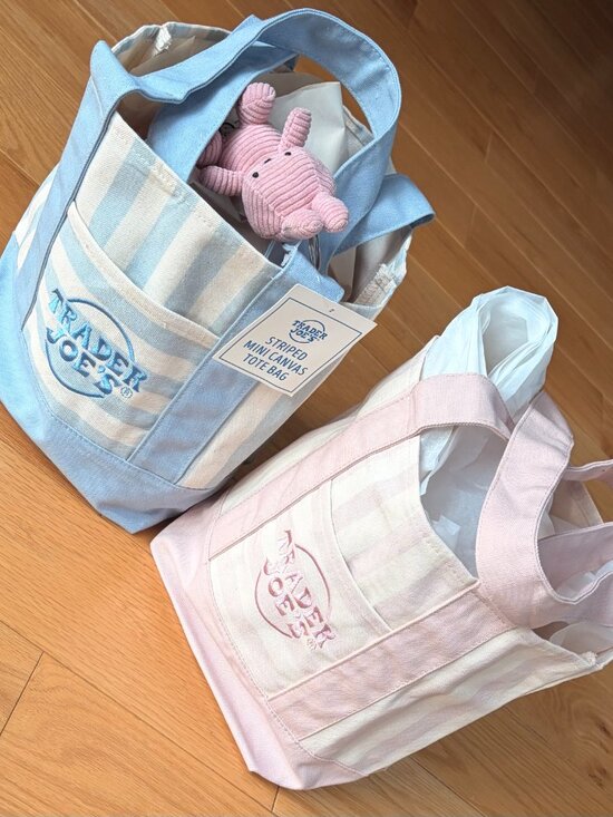 Trader Joe'S Handbags - NWT Trader Joe's Mini Canvas Striped Tote Bag Sky Blue Pastel White
